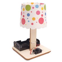 빅드림 (티처스)STEAM 과학교구 DIY 실험키트 과학실험키트, 9-LED 변색 조명등 램프 (E-21A)