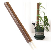 호르투스가든 몬스테라 수태봉 식물지지대 코코봉 코코넛봉, 플라스틱 100cm 마감형, 1개