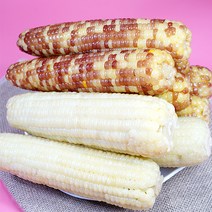 무한푸드몰 찰옥수수 냉동 찐 삶은 옥수수 무첨가 5종선택 10개 20개 30개, 02-3. 홍찰 특대 30개