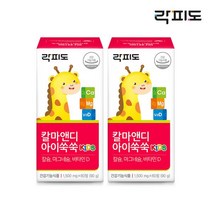 락피도 칼마앤디 아이쑥쑥 60정 X 2박스, 단일옵션