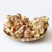 22년 국내산 햇 흙생강 생강, 5kg, 1개