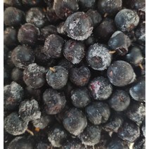 햇 아로니아 생과 냉동과 1kg 국내산 산지직송 생아로니아 냉동 아로니아 소포장 주스용 즙용, 줄기 있는 아로니아 생과 1kg, 1개