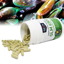 뉴질랜드 초록홍합 초록입홍합 6500mg 상어연골 콘드로이친 500mg 300캡슐, 초록입홍합 콘드로이친 5통