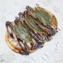 가을 꽃게 활 숫 꽃게 충남 태안 산지직송 1kg, 2kg