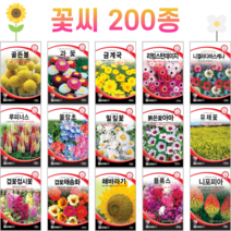 꽃씨 꽃씨몰 백일홍 제라늄 다알리아 작약 데이지 노지월동 다년생 봄 꽃씨앗 5 1, 94. 데이지 300립 [다]