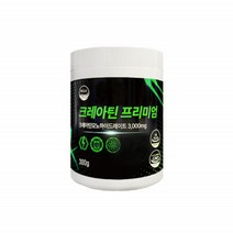 크레아틴 모노하이드레이트 파우더 분말 헬스보조제