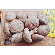 Eco-friendly 생표고버섯 200g 1봉