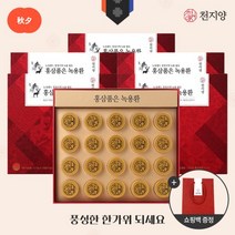 [천지양] 홍삼품은 녹용환 20환 x 5박스(총 100환)+쇼핑백, 5개, 단품