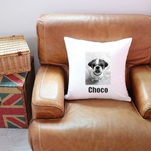 우리 강아지 사진 쿠션 제작 쇼파 의자 등받이, 백아이보리(화이트에가까움), 선택안함