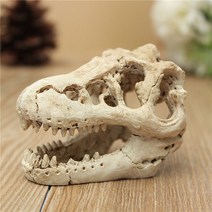 수족관 어항 데코 모형 장식 공룡화석