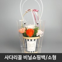 화분 쇼핑백 투명 비닐 사다리꼴 쇼핑백 SCF31 5개