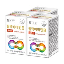 종근당 활력 비타민B 플러스, 3개, 60정