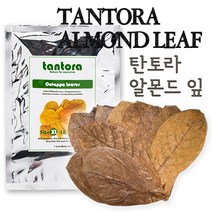 탄토라 알몬드 잎 XL 수질개선 수질안정, 1개