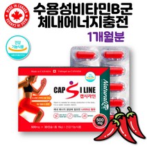 캡사이신가루 고추열매추출물 나이아신 비타민비군 헬스 남자 여성 피곤할때 영양제 건강기능식품 캐나다