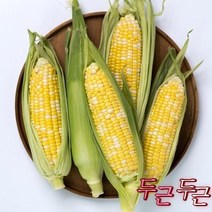 23년 괴산대학 햇 생옥수수 옥수수 흑, 괴산대학찰옥수수 30개입