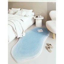 비정형감성 파스텔 감성 특이한 대형러그