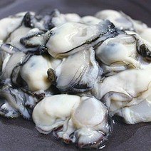 최상급만 선별한 싱싱한 통영 생굴 1kg