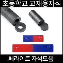 교육용자석모음 흑자석막대자석페라이트자석모음, 6.막대자석 100X20X6.5mm 1개