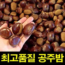 햇공주밤 1KG 칼집O 밤 밤효능 약단밤 밤삶는법 군밤