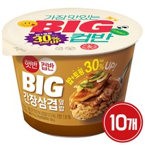 햇반컵반 BIG 빅 간장삼겹덮밥 319g 빅컵밥, 10개
