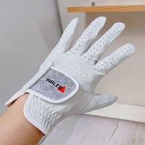 (ABM도매콜) 바이블러 올양피 남성용 골프장갑 25호(10x22.5), 상세페이지 참조