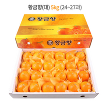 제주 황금향 선물세트 5kg (대과) 24-27과 / 하우스 노지 고당도 귤 감귤 밀감 레드향 천혜향 카라향 청귤 수라향 신비향 가정용 추석 명절 설 감사 은사 선물 조생 타이벡, 5kg (특대) 19-23과