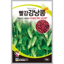 빨강강낭콩 씨앗 30g 아이들 교육용으로 좋은 채소 풋콩 수확 세계종묘