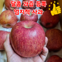 고당도 15브릭스 부사 사과 10kg 거창사과 나주배 선물세트 과일선물세트, 사과 선물세트11-13과(5kg내외)