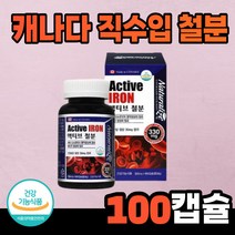 캐나다 직수입 철분 영양제 대용량 임산부 임신 초기 가임기 여성 수유부 성장기 청소년 추천 어지러움 여성 노인 남성 중년 종합 건강기능식품 철분이 많은 음식 영양제, 1개