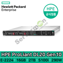 HPE 프로라이언트 DL20G10 서버 (E-2224/16GB/2LFF/S100i/2TB HDD/290W/레일킷/OS미포함)_서버윈도우계열설치가능버전