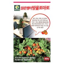 주주씨앗 과채류 씨앗 76종 모음 오이 수박 가지 참외 딸기 수세미 조롱박 호박 방울 토마토 여주 고추 멜론 애플 메론 파프리카 단호박 완숙 땅콩호박 머크아, 17. 앉은뱅이방울토마토(빨강) 50립