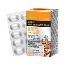 메이플 100억 프로바이오틱스 생유산균 2개월분 배변유산균 LP299V 여자질유산균 유산균