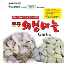 2023년도 마늘 통마늘 한지형 의성마늘 햇마늘 +10톨 덤, 1개, 의성씨마늘 중품 3kg 약 100-120개
