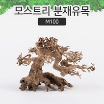 모스트리 분재유목(S) [ M100 ] - 왼쪽용 어항 베트남 유목