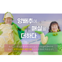 양배추와 매실 함량이 더해 더욱 진한 양배추환 배아실(300정)(150g), 1개