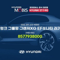 현대모비스 순정 트렁크 그물망 그랜저XG EF쏘나타 러기지네트 (8577938000), 1개