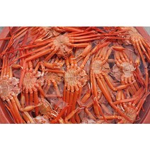 꿀꿀도매 자숙 연지홍게, 1개, 홍게_최상품_10미내외