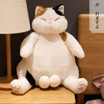 귀여운 고양이 인형 동물 선물 사랑스러운 모찌모찌 쓰야쓰야 미요니 애착인형 5220792645, 45cm, WHITE