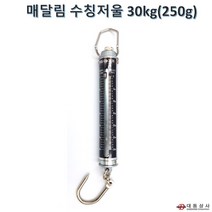 대동상사 수칭저울/30kg(250g)/휴대용으로 사용편리/용수철저울