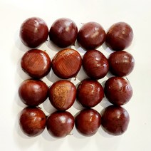 밤 공주밤 옥광밤 토종알밤 햇밤 공주정안 알밤 생밤 산밤 생율밤 왕밤 고급밤 종류선택, 일반밤, 일반밤중4kg, 1개