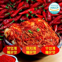 국중석 맛있는 전라도 명품 매운맛 3단계 배추불김치 맛있게매운맛 1kg, 단품