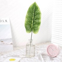 옷자락 리빙 홈데코 조화 장식 인테리어 나뭇잎 소품, FREE, ET0177_숏몬스테리아