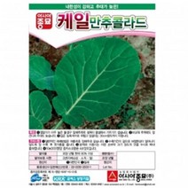 (케일종자씨앗) 만추콜라드(10g), 1개