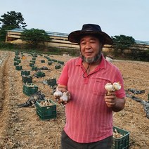 2023 홍산마늘 햇마늘 식용 종자용 장아찌용, 홍산마늘 10kg 종자용, 1개