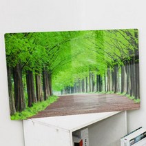 cr837-폼아크릴액자58CmX38Cm_메타세콰이어길, 2.여름