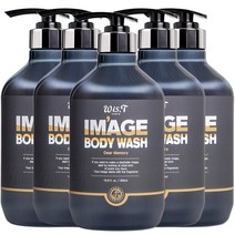 위스티 이미지 향기 좋은 등드름 완화 바디워시 디어메모리 500ml, 5개