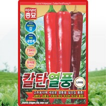 칼탄열풍고추 씨앗 칼탄고추 씨 종자 1200립, 단품