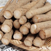 [푸르젠] 3대 전통 안동 우엉 (알뜰~가공품), 1개, 2kg (상품)