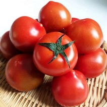 부여 스테비아 토마토 슈가 토망고 1kg, 2kg