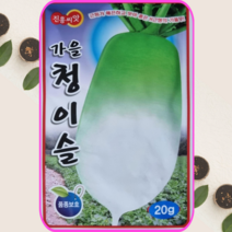 김장무씨앗 가을 청이슬무 씨앗 20g 종자 무우씨앗, 1개